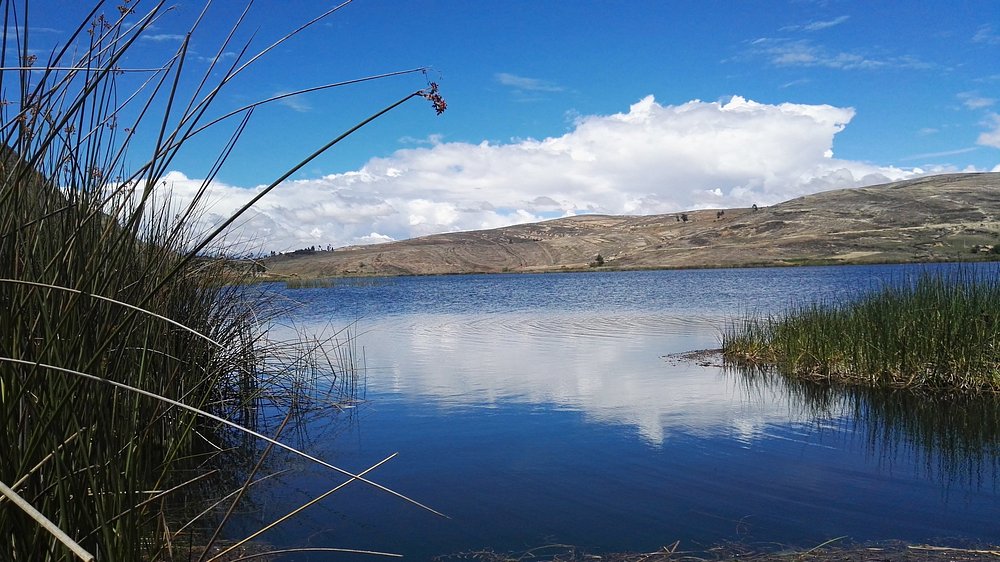 laguna san nicolas (2)